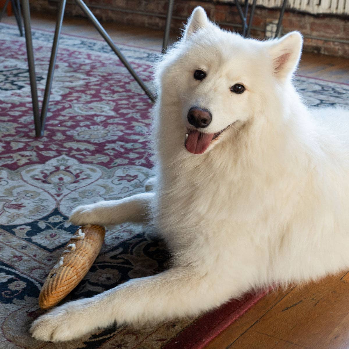 ADC Houndstone & Co. - Wholesale Pet Plush Toy - Dog - Houndstone Baguette Plush Interactive Dog Toy for Enrichment3