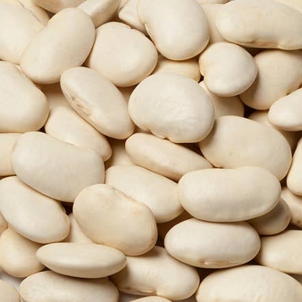 Baby-Lima-Bohnen für den Großhandel von Premium Nut & Dried Fruit Co.