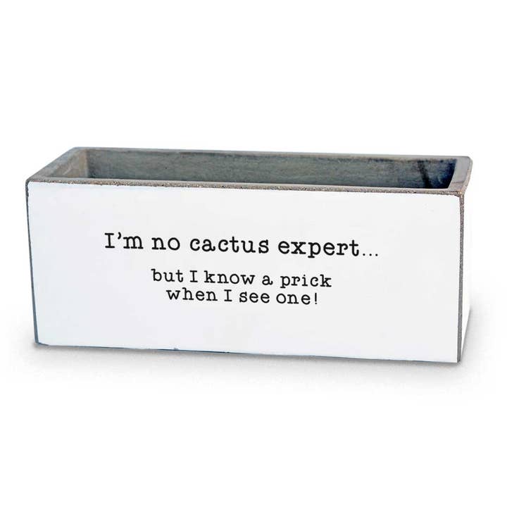 I'm No Cactus Expert | Succulent Pot for wholesale by Pinetree Innovations Canada