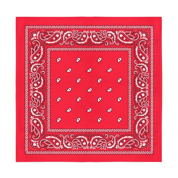 Bandanas Wholesale - Wholesale Bandana - Unisex - 12 Pack Cotton Bandanas Paisley - 22 Inches22