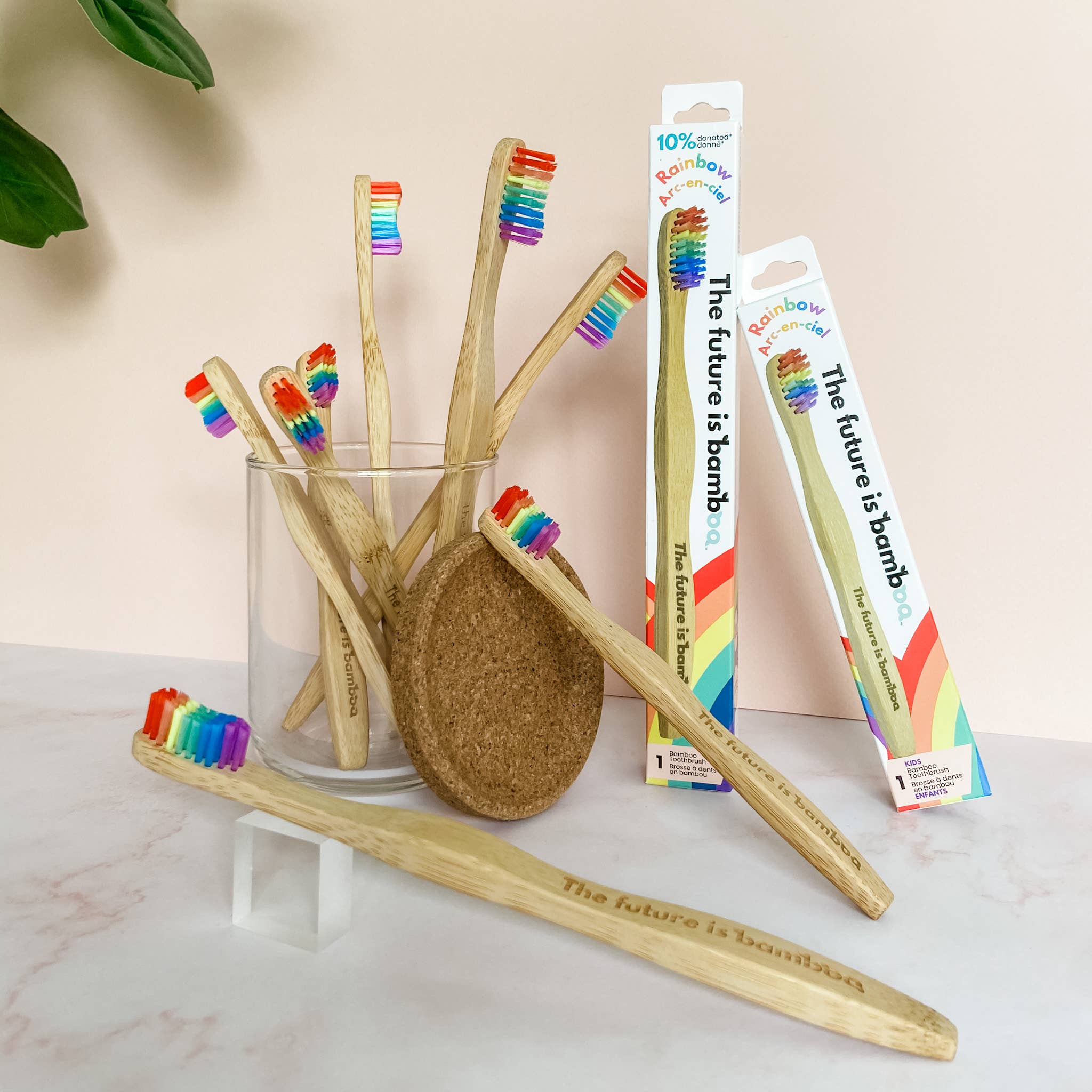 The future is bamboo - Vente Brosses à dents - RAINBOW Brosse à dents en bambou souple adulte2