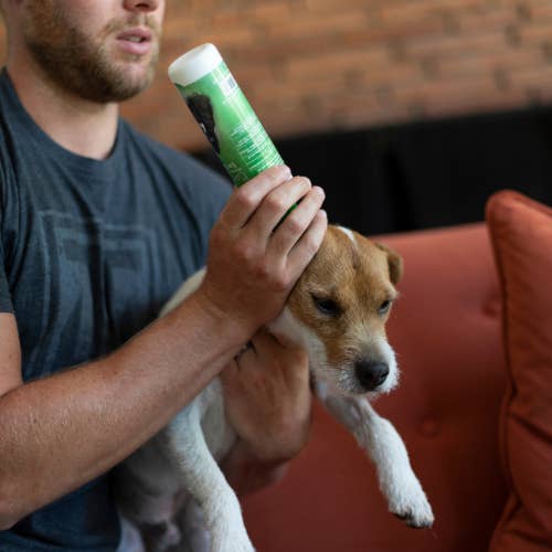 Petdropshipper - Wholesale Pet Cleaning Supplies - Bio Groom Ear Care NonOily NonSticky Ear Cleaner 1ea-4 oz