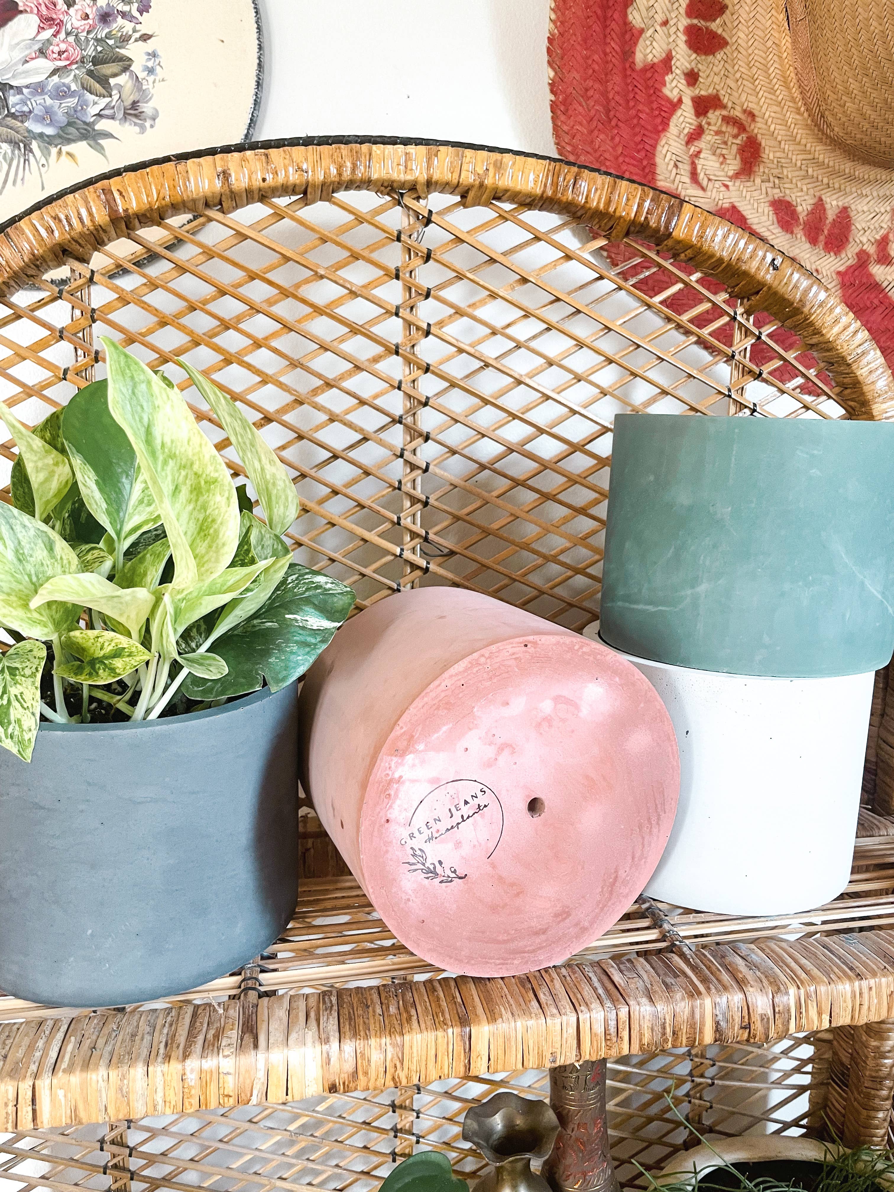 Green Jeans Houseplants - Vente Pot - Set de jardinières en ciment1