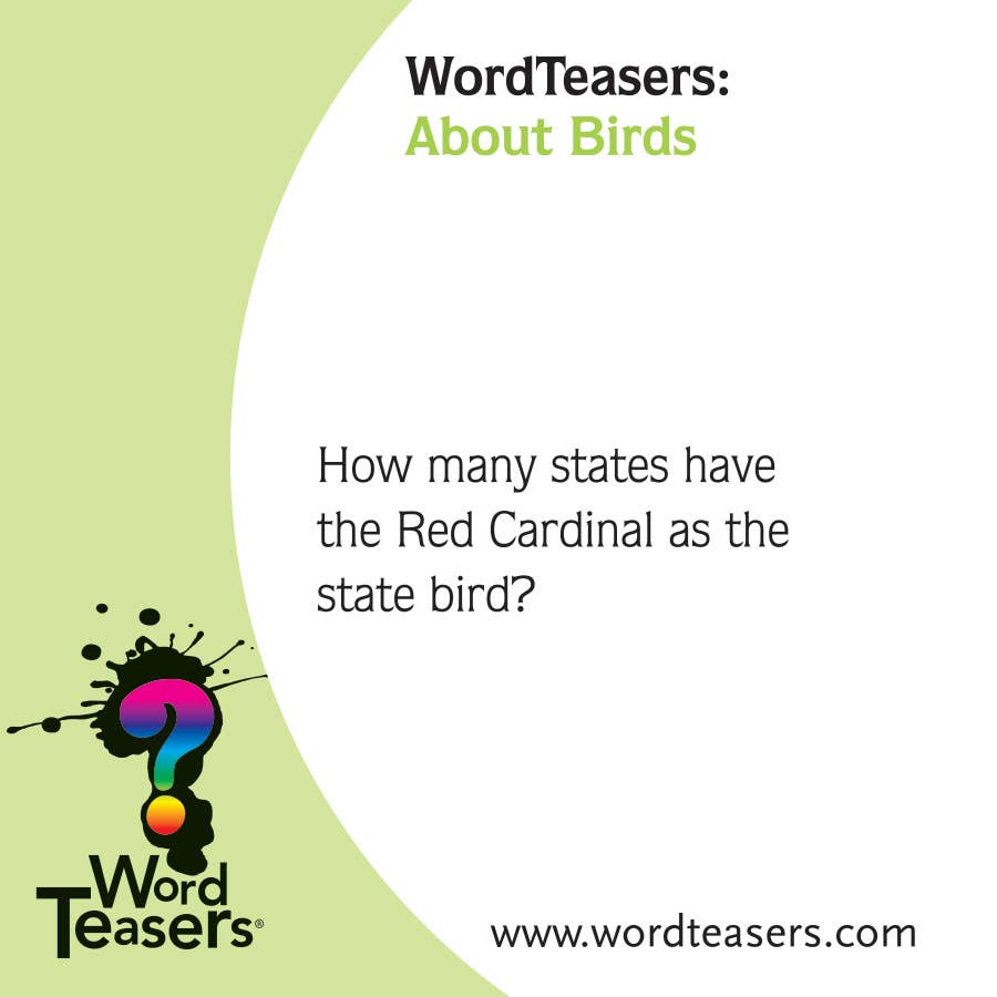 WordTeasers - Wholesale Card Game - About Birds3