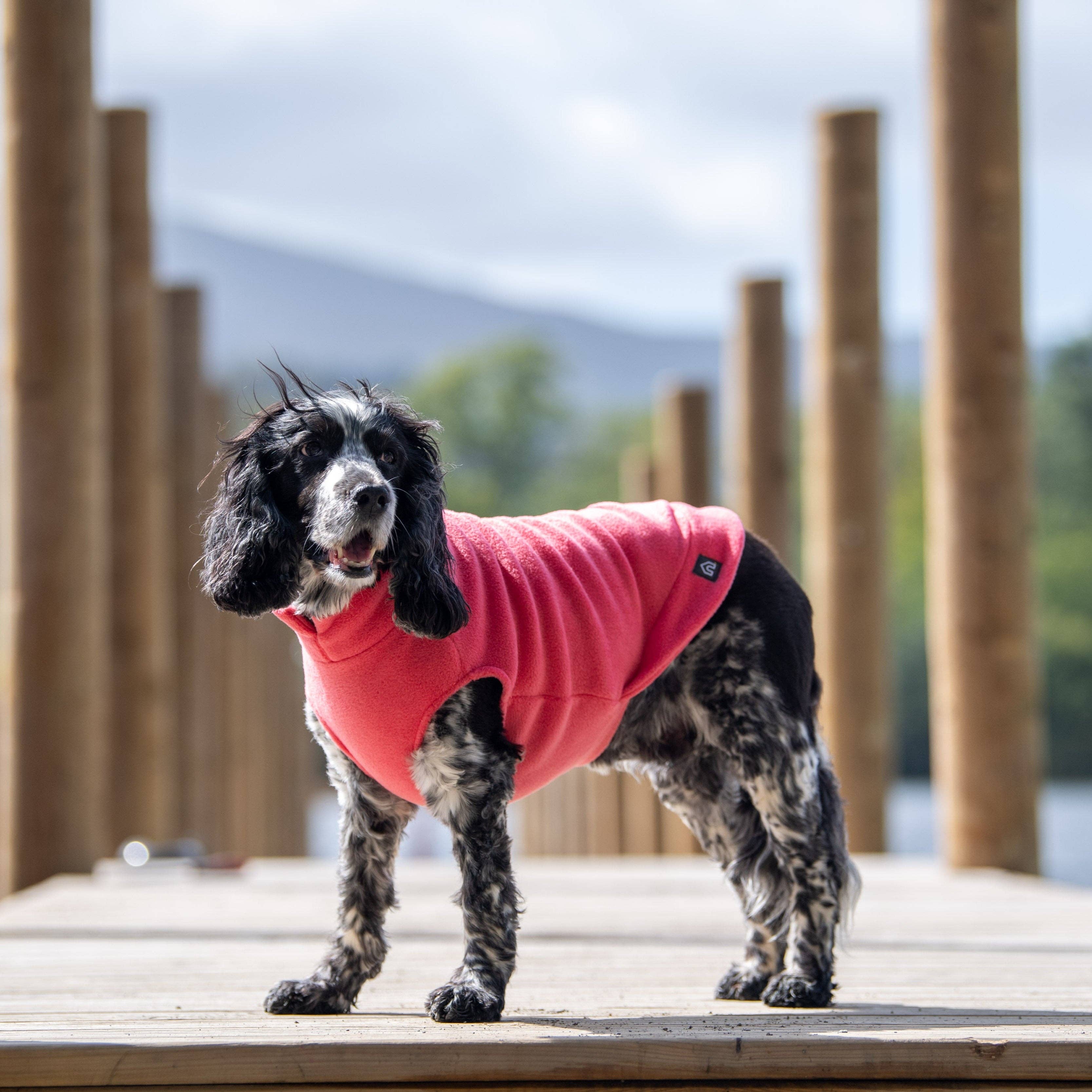 Doghouse – Großhandel Haustier-Pullover – Hund – Fleece-Pullover für mittelgroße Hunde15