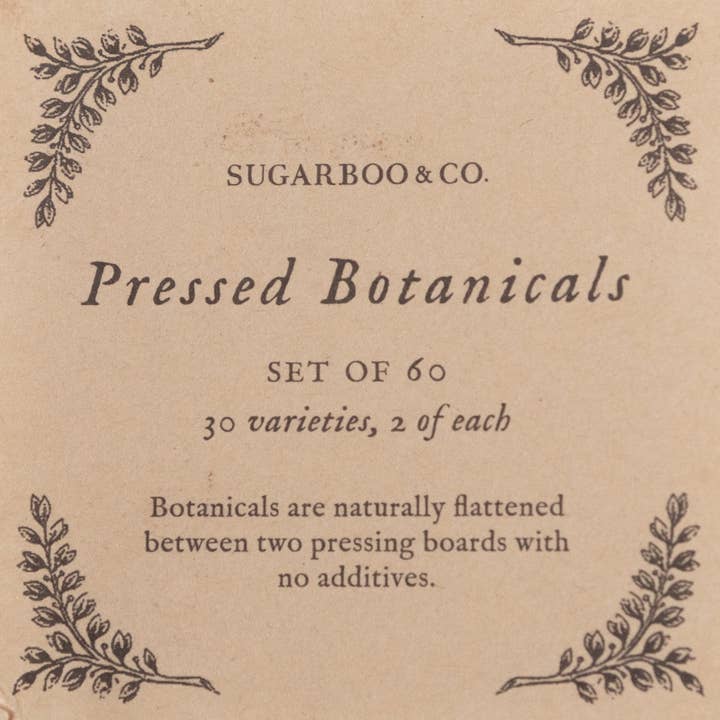 Sugarboo & Co - Wholesale Art Print - Pressed Botanical Collection - Assorted Set of 60