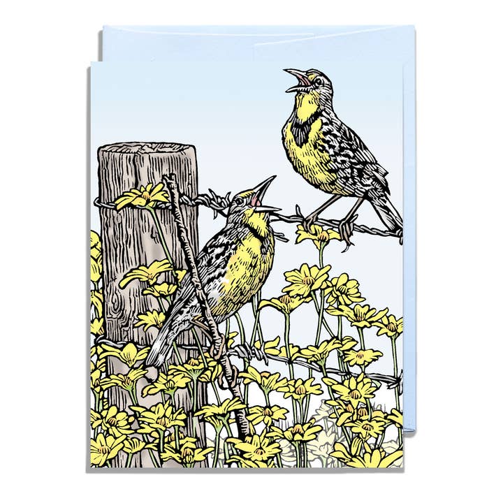 Meadowlarks Alltagsgrußkarte für den Großhandel von Daniel Joseph Durkin Illustrations