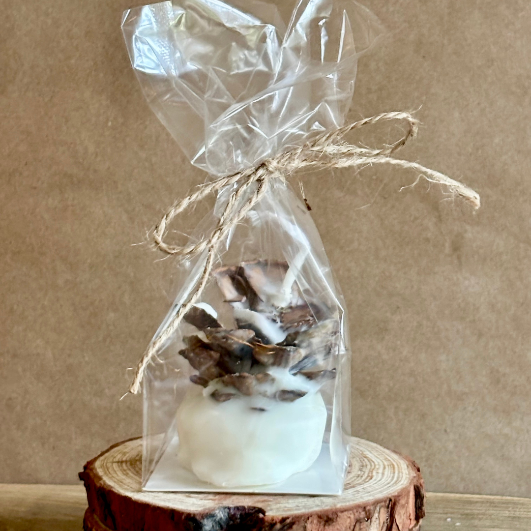 Mana Market Co. - Vente Cadeaux pour invités - Pommes de pin allume-feu ~ Le cadeau rustique parfait pour une fête10