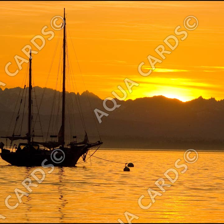 1077 - Den Gyldne Time for engroshandel hos Aqua Cards