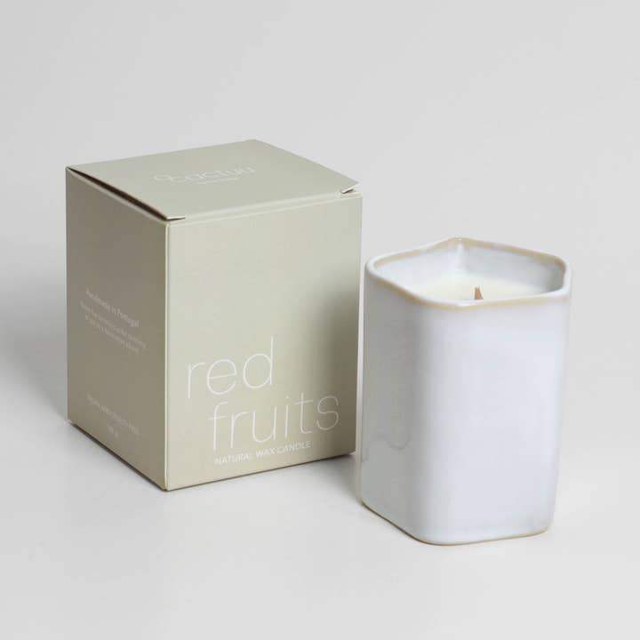 o cactuu - Venta al por mayor Velas en tarros - Vela de cera perfumada - Frutos rojos - Decoración del hogar - Cerámica1