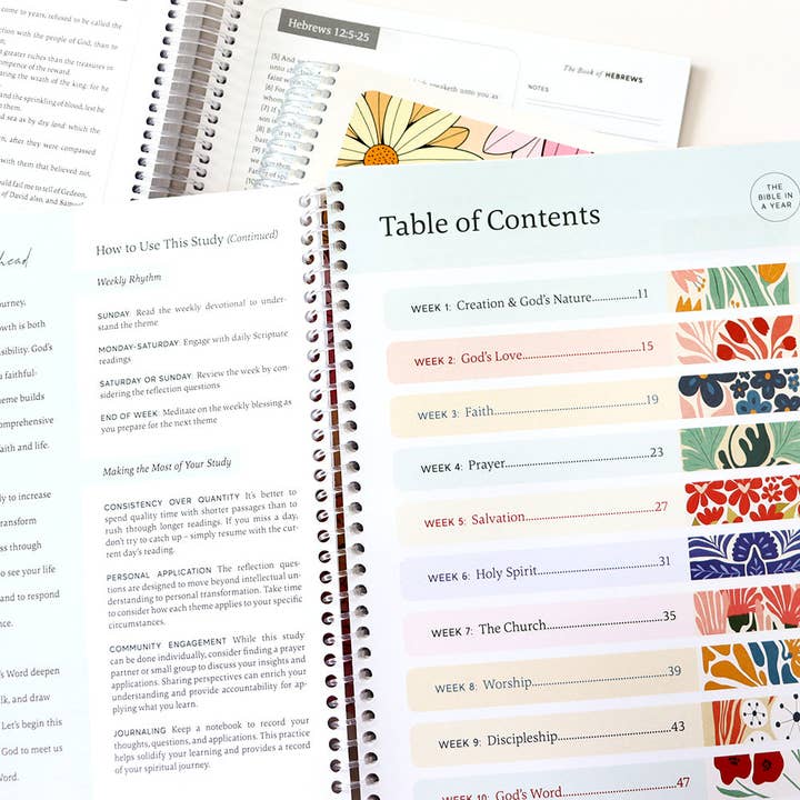 Spiral Bible - Wholesale Book - Adult - The Bible In A Year: A 52-Week Study