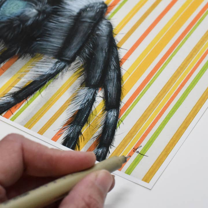 Emily Uchytil - Wholesale Art Print - Jumping Spider - Fine Art Print - Insect Illustration3