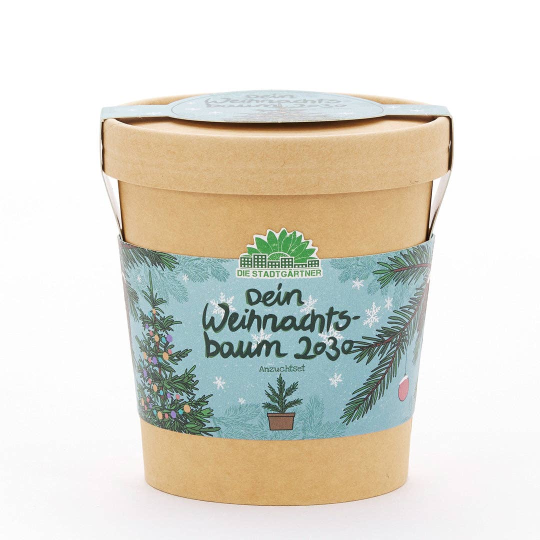 TDJ Stadtgärtner GmbH – Engroshandel Julepynt – Juletræ i kop - dyrkningssæt til dit juletræ 20301