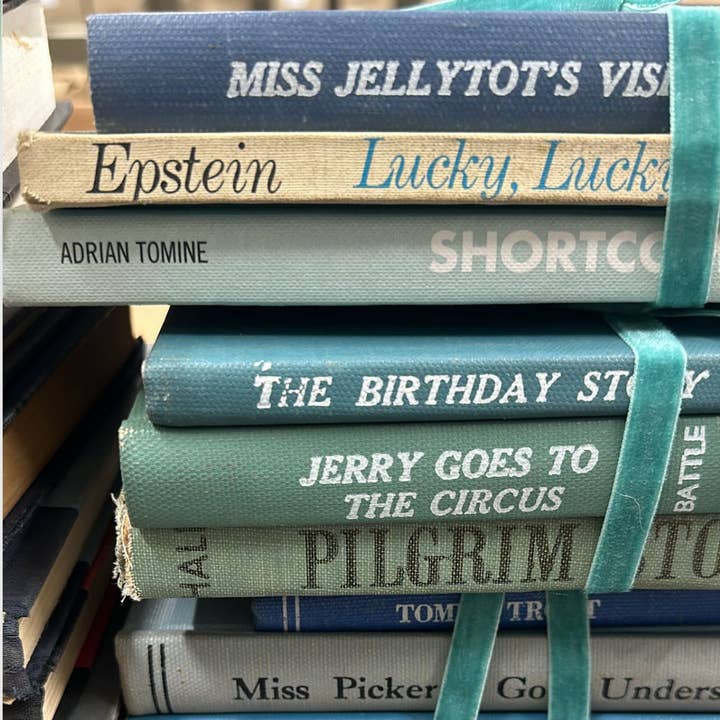 Made Market Co. - Wholesale Decorative Tabletop Object - Decorative Vintage Books Decor - Cool Colors. Set of 39