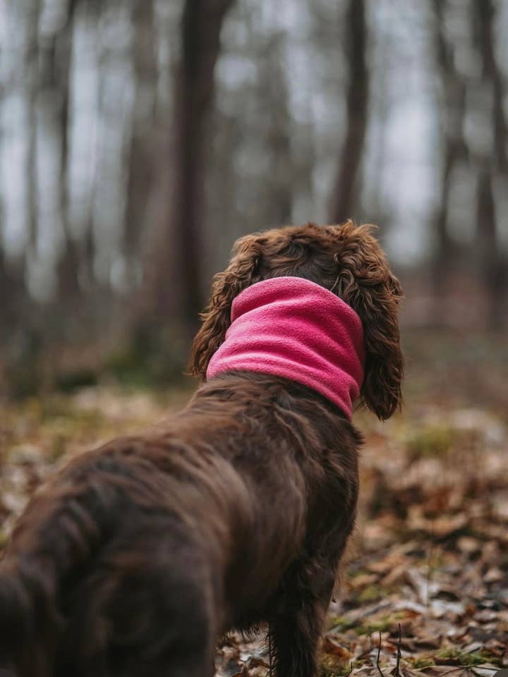 Bodhi & The Birchtree Pink Polar Snood por atacado de Bodhi & The Birchtree