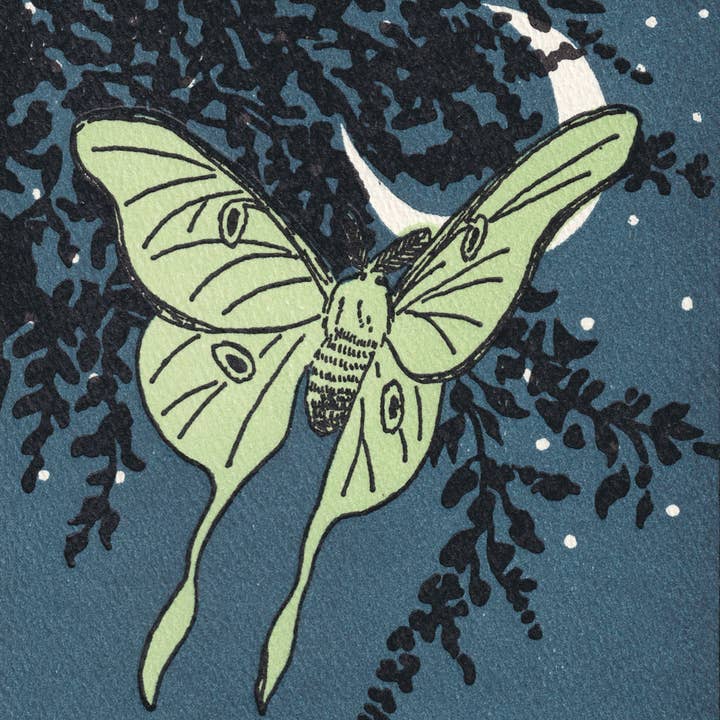 Saturn Press – Engroshandel Hverdagshilsen kort – Luna2