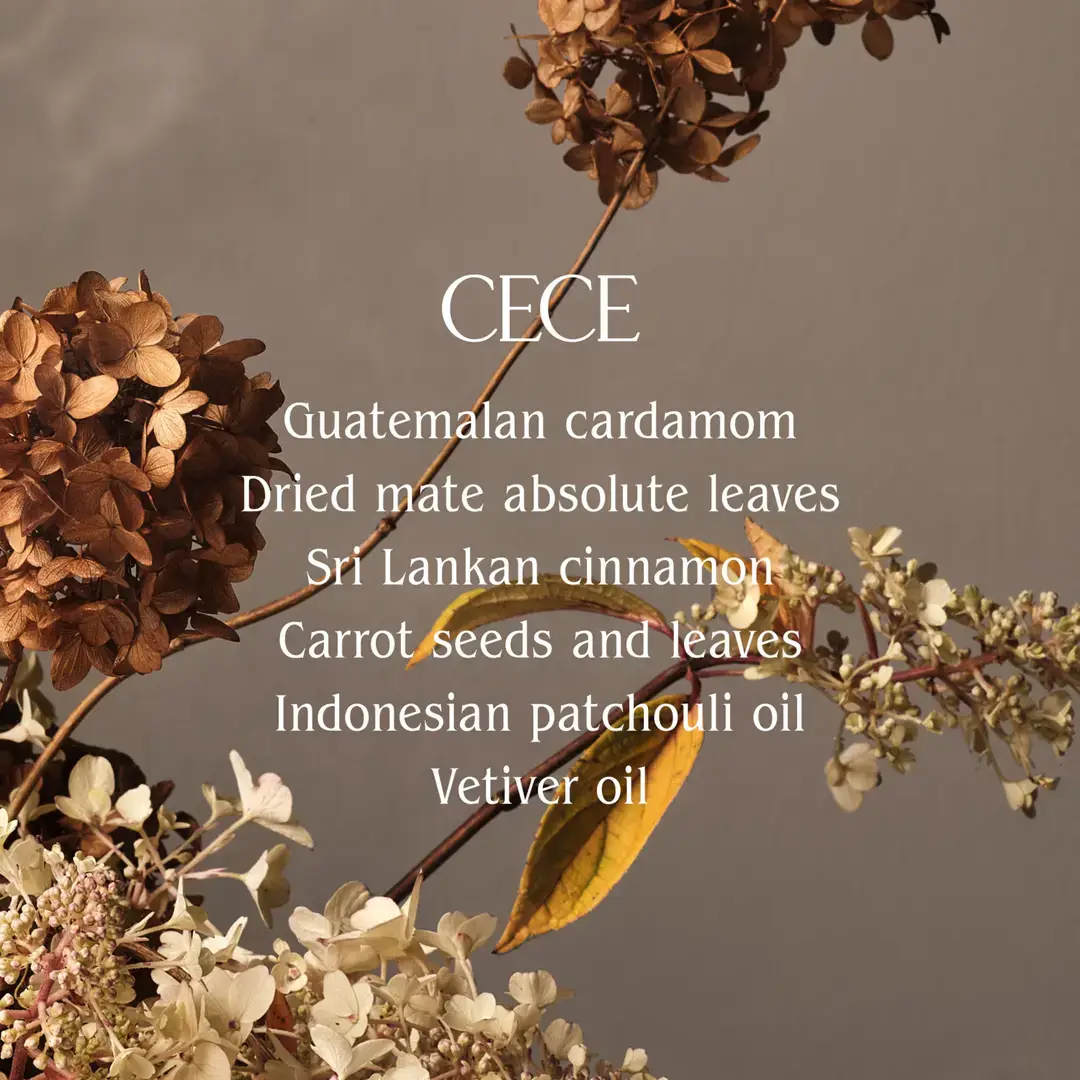 Homecourt - Wholesale Fragrance Oil - Cece Perfume Oil1