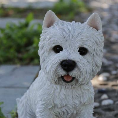 Hi-Line Gift Ltd. – Engroshandel Udendørs pynt/dekoration – Siddende Hvid Terrier0