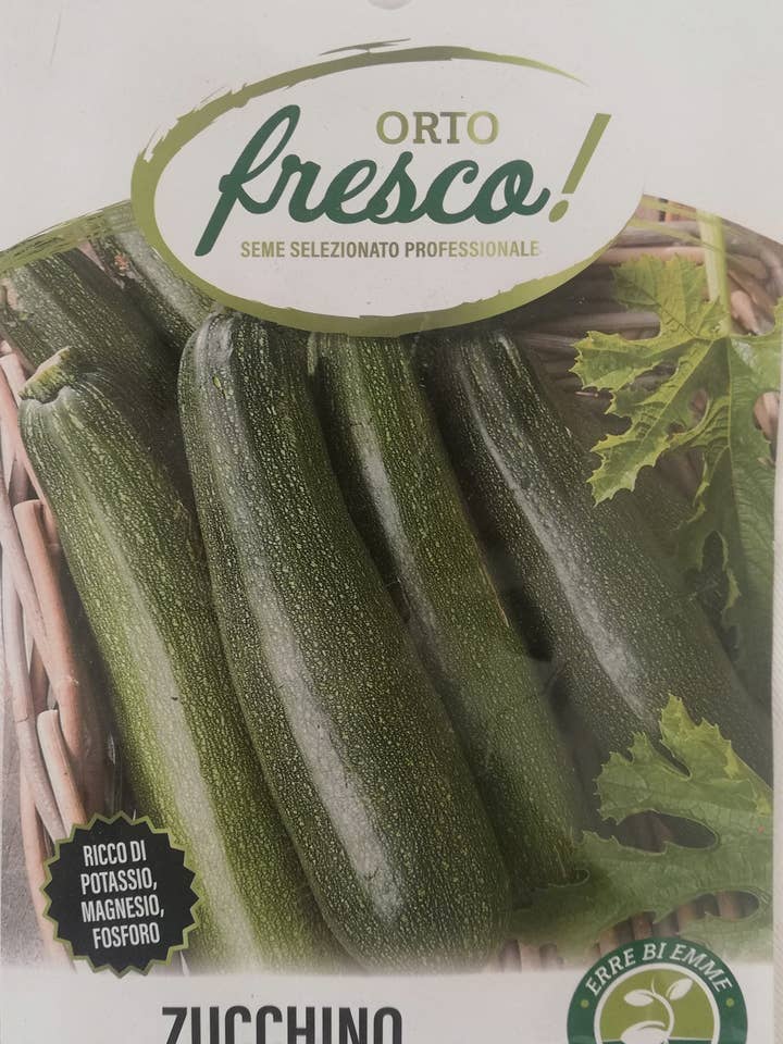 Zucchini President F1 for wholesale by Sementi & Barbatelle