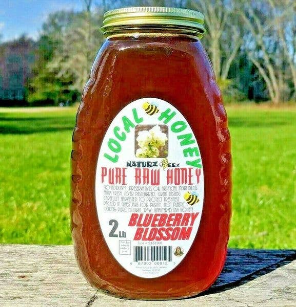 Naturz Beez - Wholesale Honey - Blueberry Blossom Raw Honey 2Lb Glass Jar0