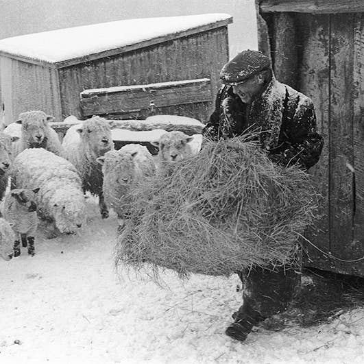 RAVILIOUS, JAMES - UM FEED NA NEVASCA por atacado de Bookroom Art Press