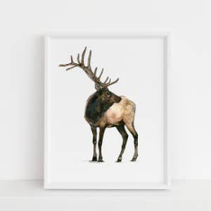 Imprimé wapiti pour la vente par Jennie Kilcup Watercolors