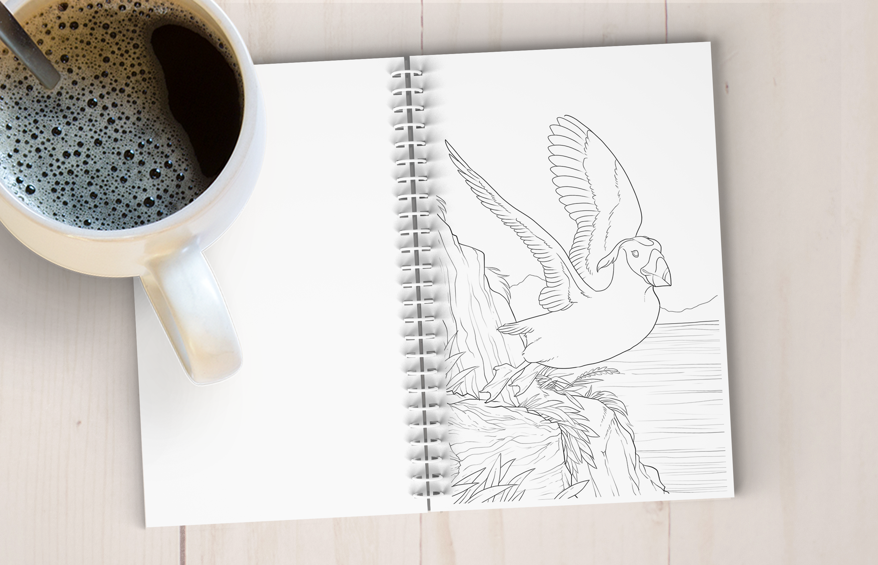 The Snow Finch – wholesale Målarbok - Vuxen – Kustnära Alaska konst målarbok5