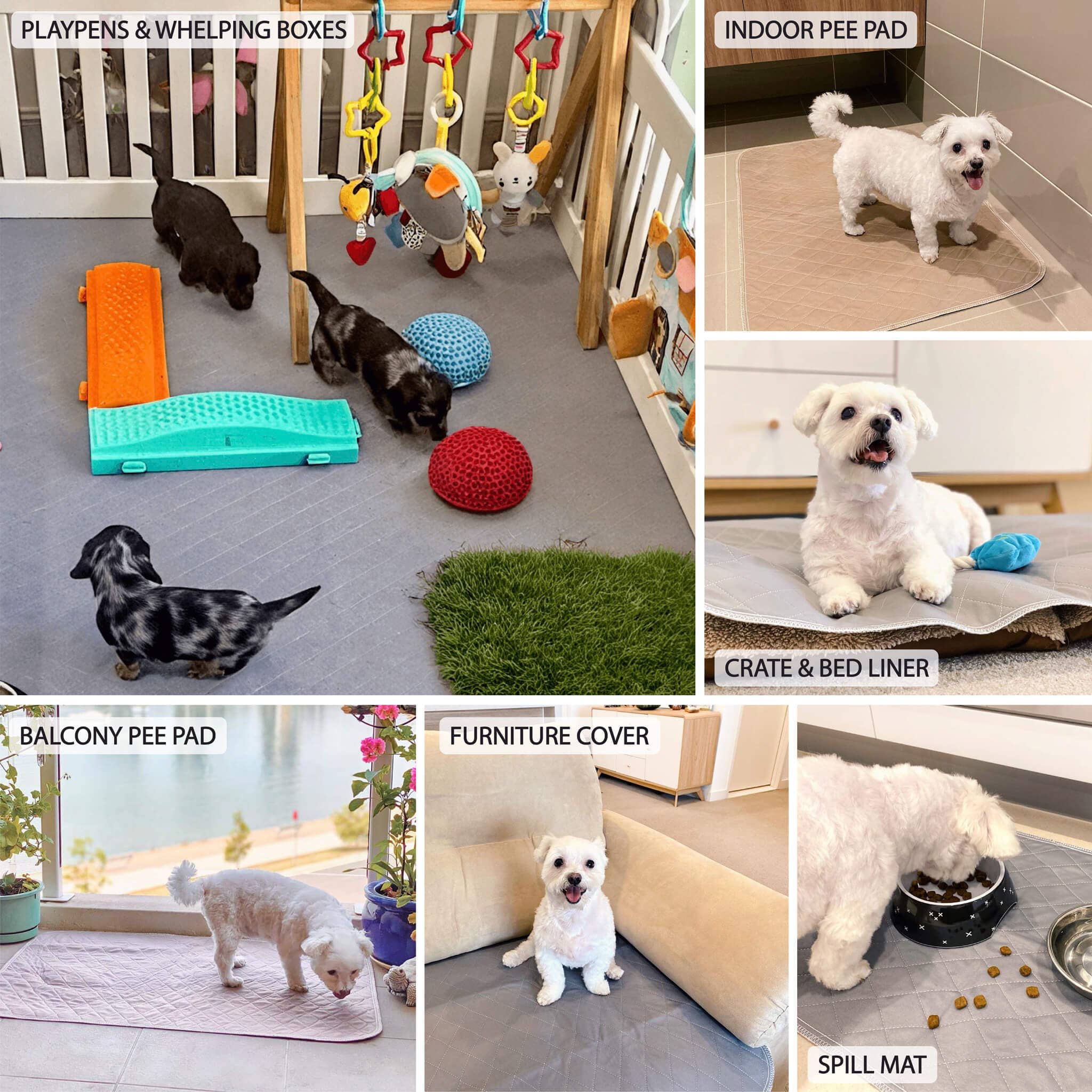 Pipco Pets - Vente Tapis – chien - Tapis absorbants lavables Pipco7