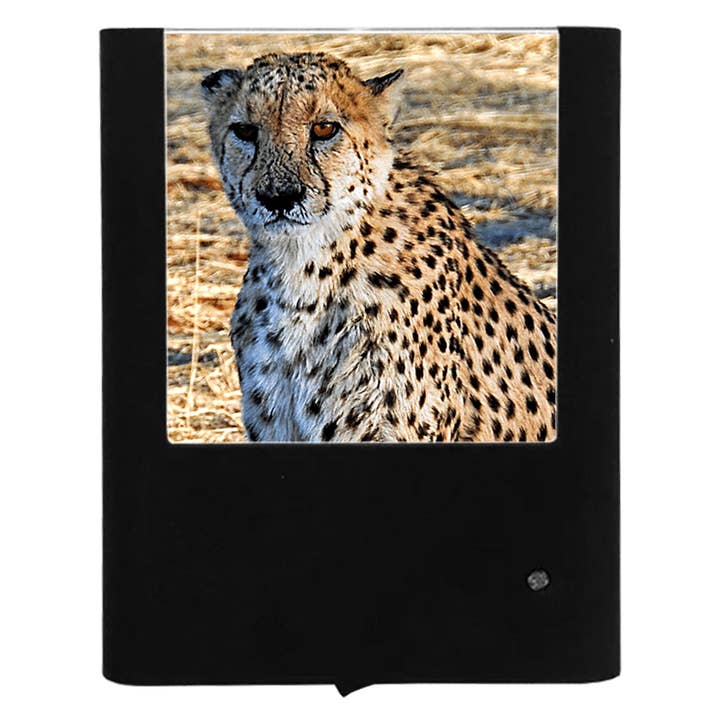 Gepard für den Großhandel von Nightlight Studio