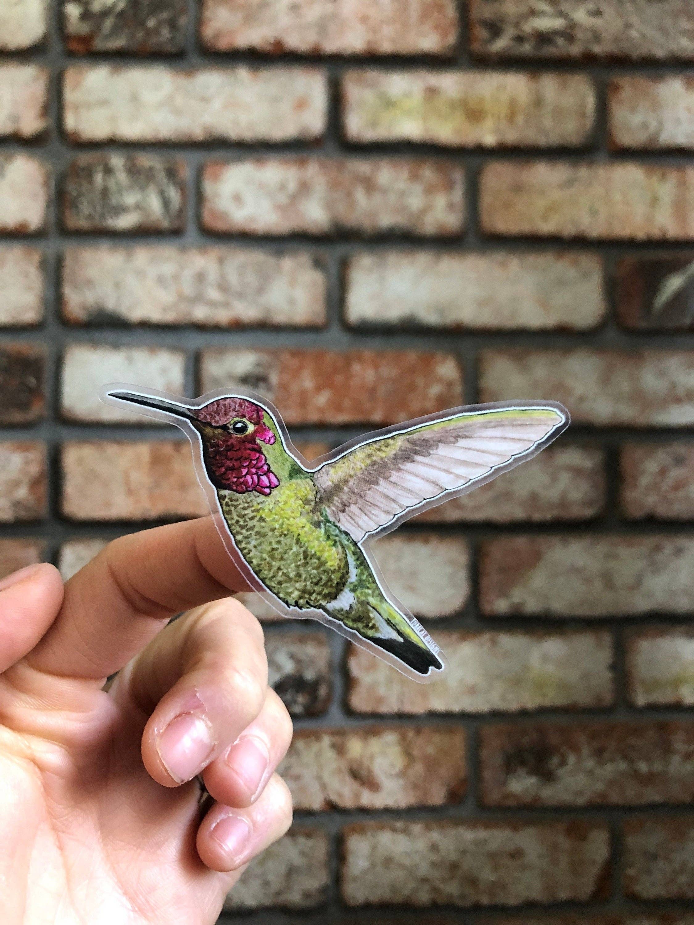 YubaCat Designs - Wholesale Sticker - Hummingbird sticker1