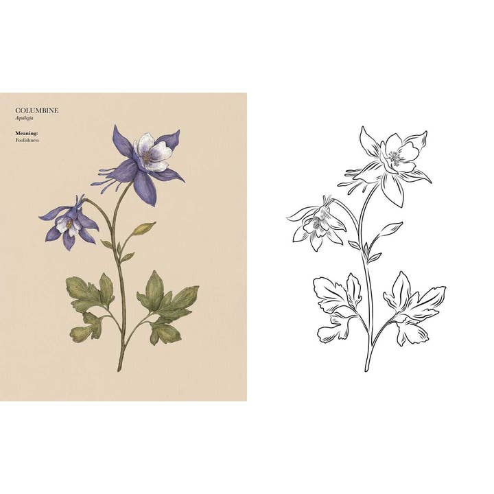 Simon & Schuster - Wholesale Coloring Book - Adult - Floriography Coloring Book by Jessica Roux