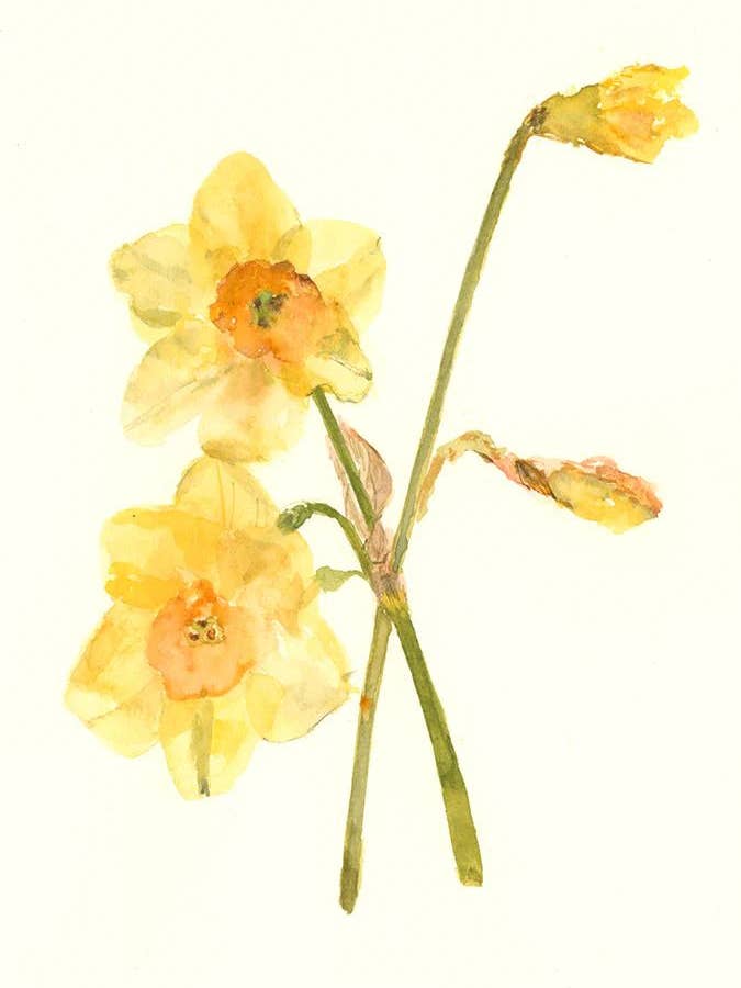 Geschenkanhänger - Yellow Wonder - GT - 0091 für den Großhandel von Ping He Art