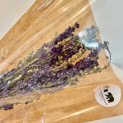 Chaton Et Monsieur Ours - Wholesale Dried/pressed flowers - DELPHINIUM BLEU Dried Flower Bundle2