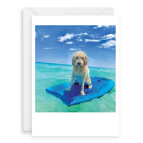 Palm Press - Wholesale Birthday Card - Dog on Boogie Board Happy Birthday Card