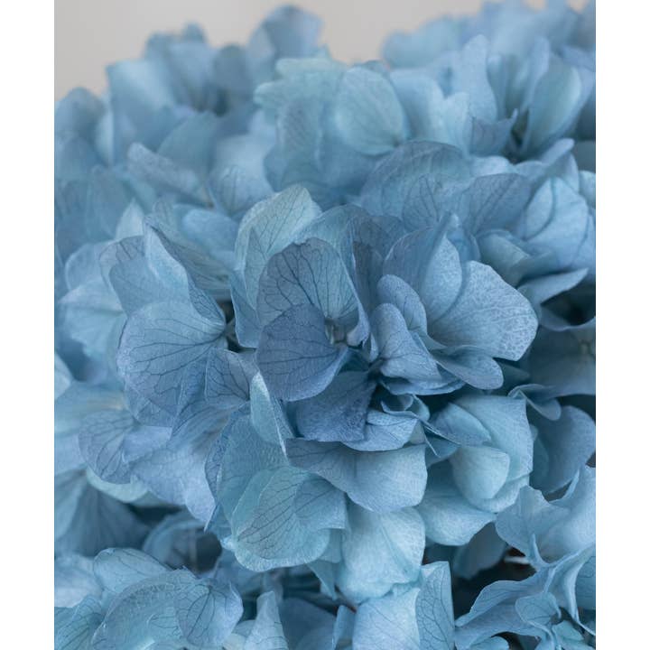 Maia Shop - Wholesale Artificial Flowers - Bouquet of Preserved Hydrangeas15