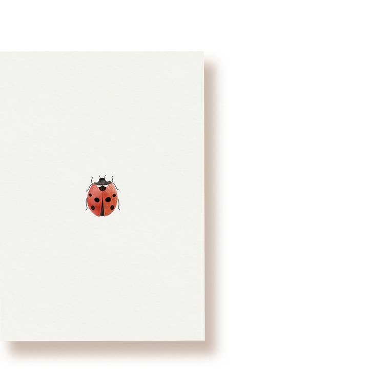 Marienkäfer | Postkarte für den Großhandel von tucán y limón