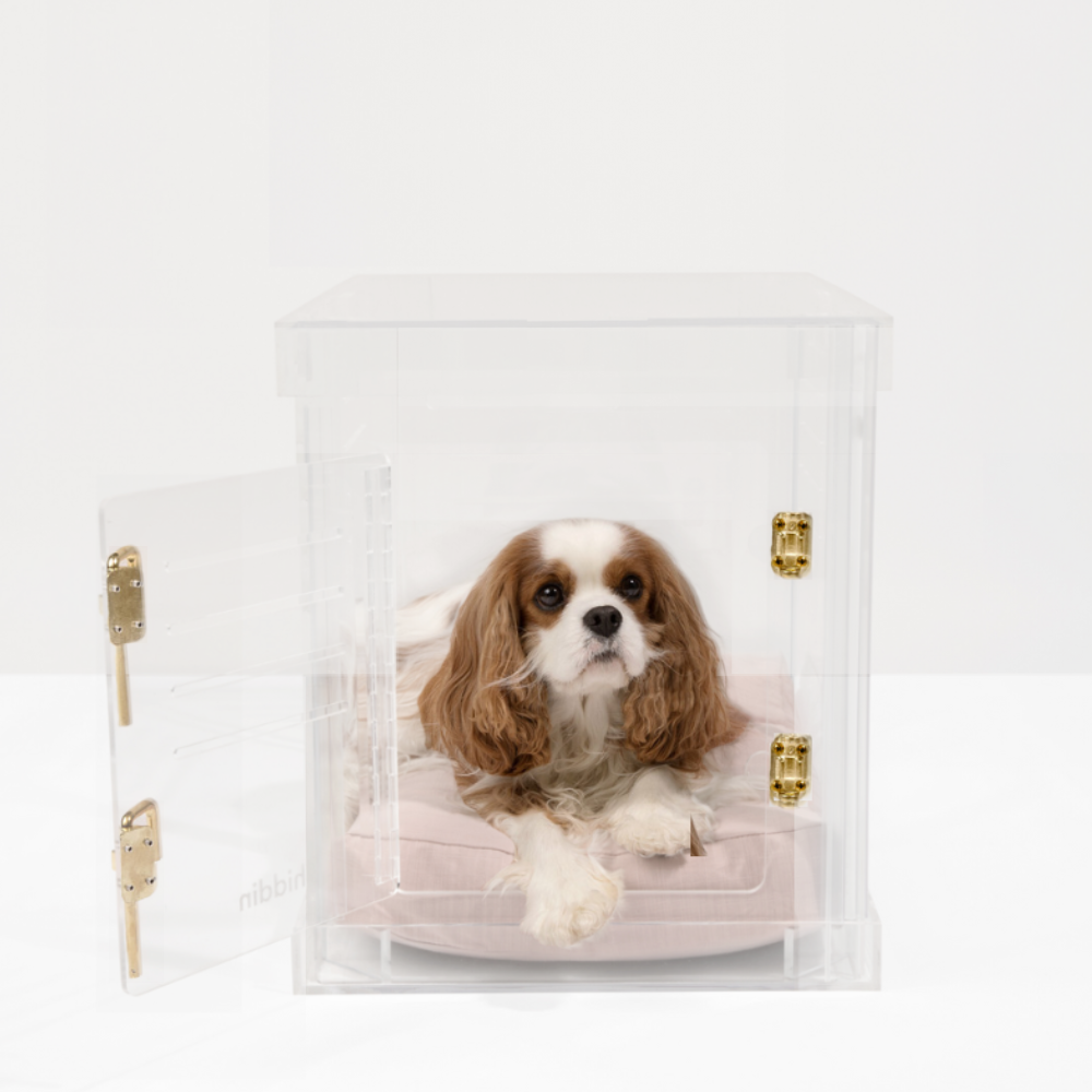 Hiddin - Wholesale Pet Carrier - Dog - Small Crate (Gold Latch)9