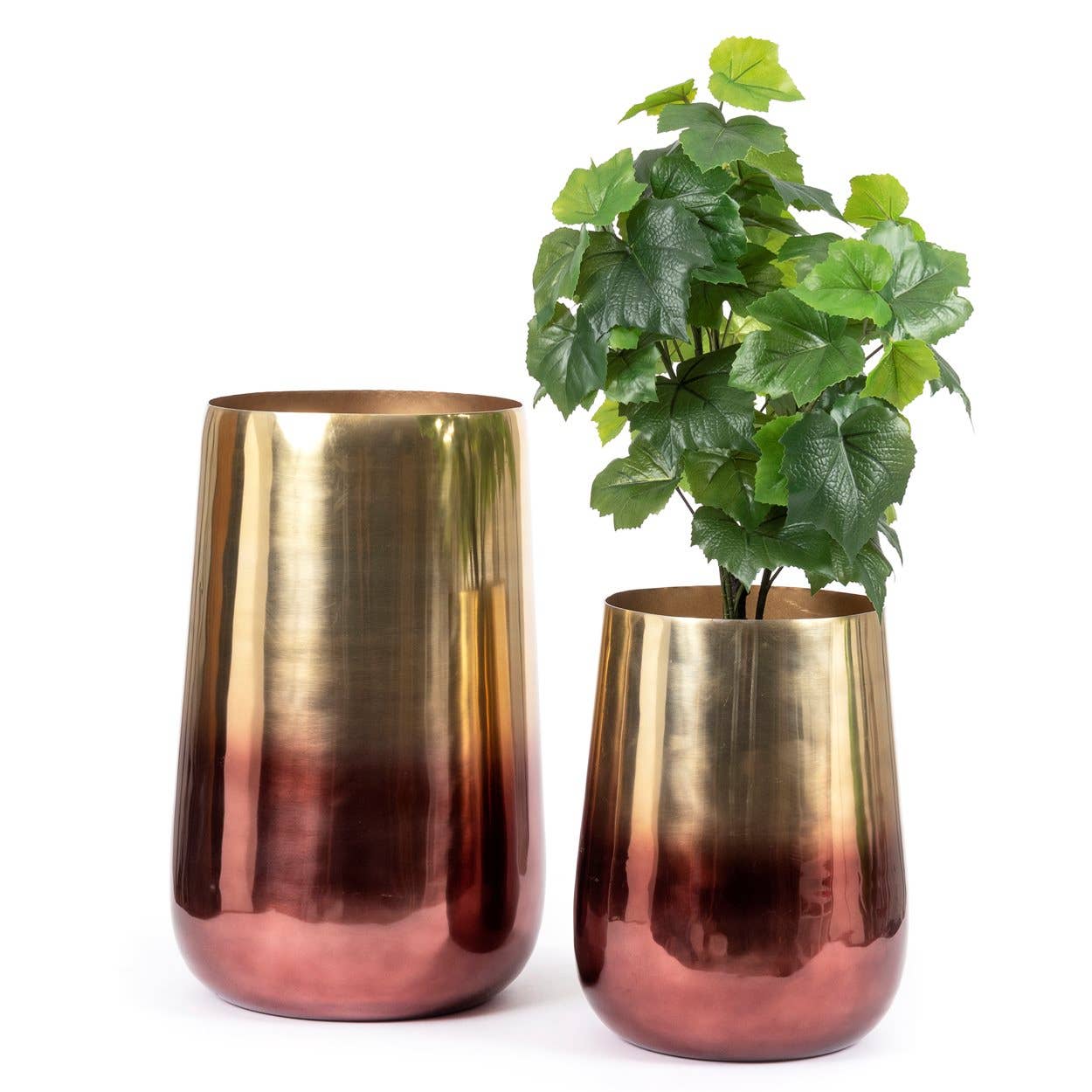 Bazar Bizar Living - Wholesale Plant Pot - The Two Tone Brass Planter - Brass - XL5