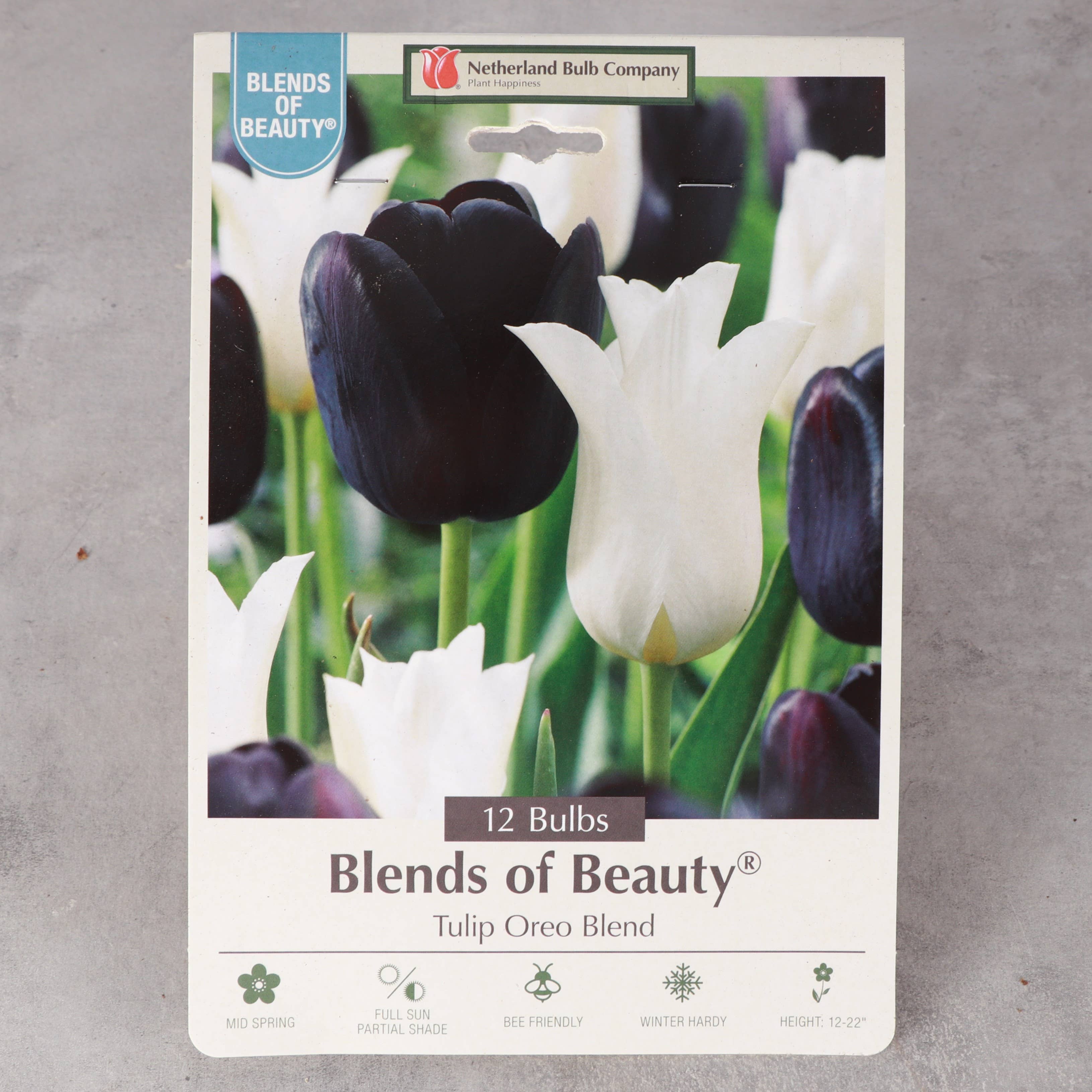 Thorsen's Greenhouse - Vente Plante - Bulbes de tulipes - Mélanges uniques - Vivaces3