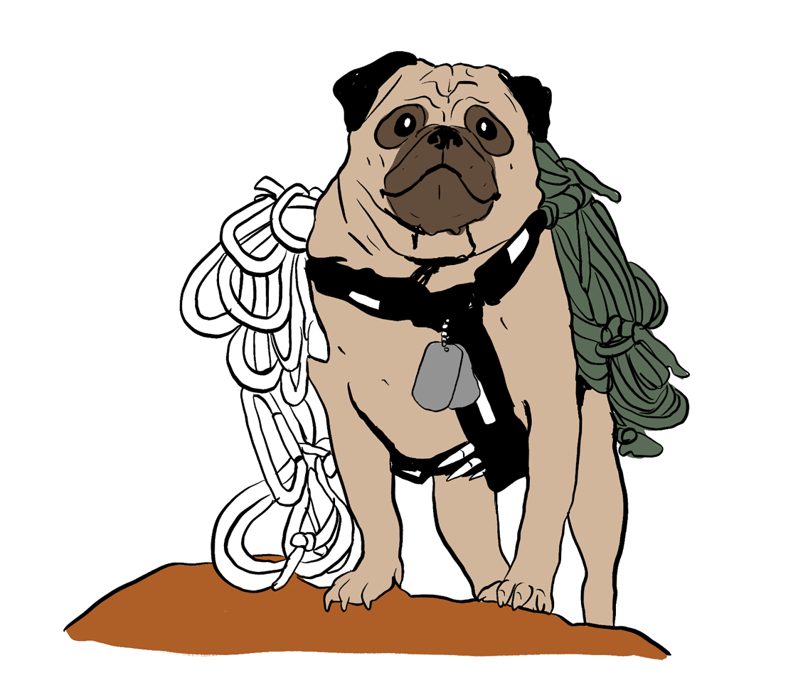 Club No-Kill 2027 Coffee Mugs - Wholesale Coffee Mug - Vinny the Pug Coffee Mugs              2