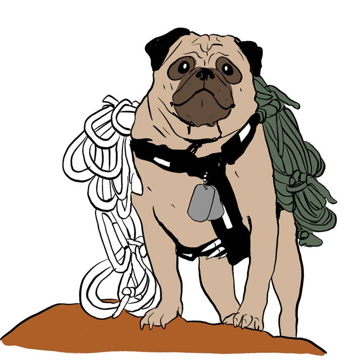 Club No-Kill 2027 Coffee Mugs - Wholesale Coffee Mug - Vinny the Pug Coffee Mugs 2