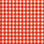 Kitchen Window Woven Gingham - Flame for wholesale by Cookie & the Dude