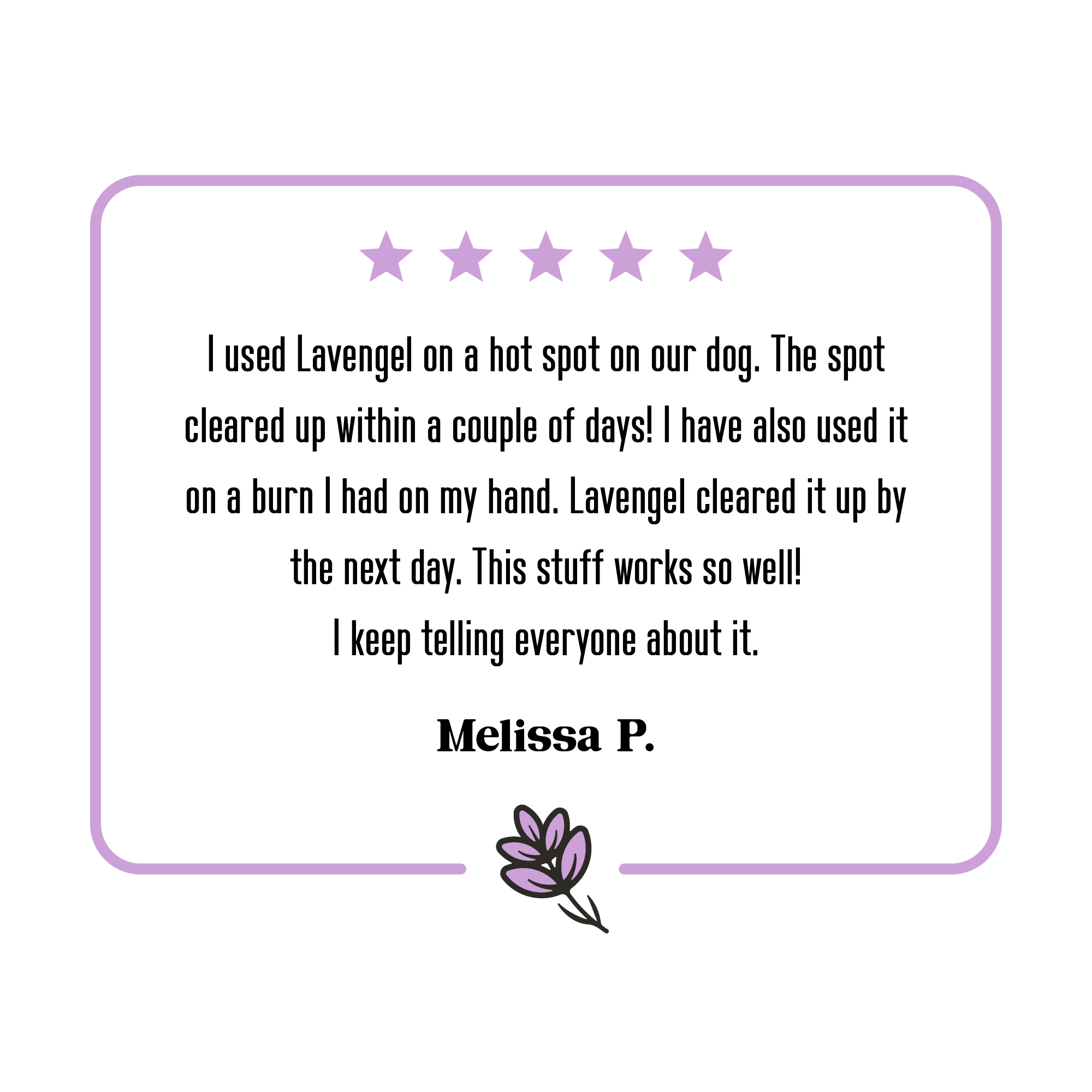 Lavengel - Wholesale Pet Balm - Dog - Lavengel - Super Soothing Skin + Wound Care Salve for Dogs3