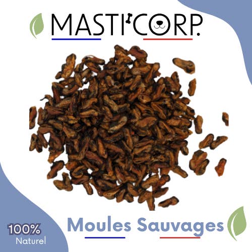 Masti'Corp - Wholesale Pet treats – Dog - Mussel - 1Kg