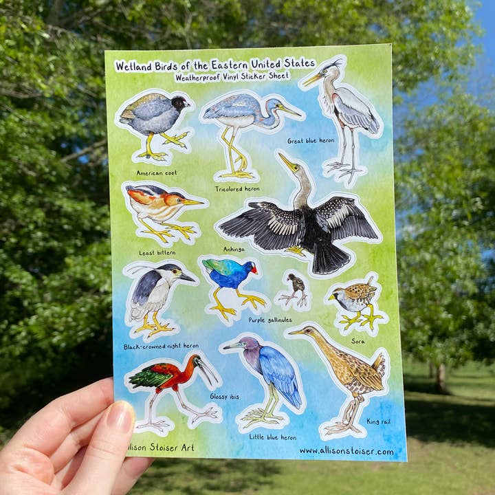 Wetland Birds of the Eastern U.S. Large Weatherproof Vinyl Sticker Sheet for wholesale by Allison Stoiser Art