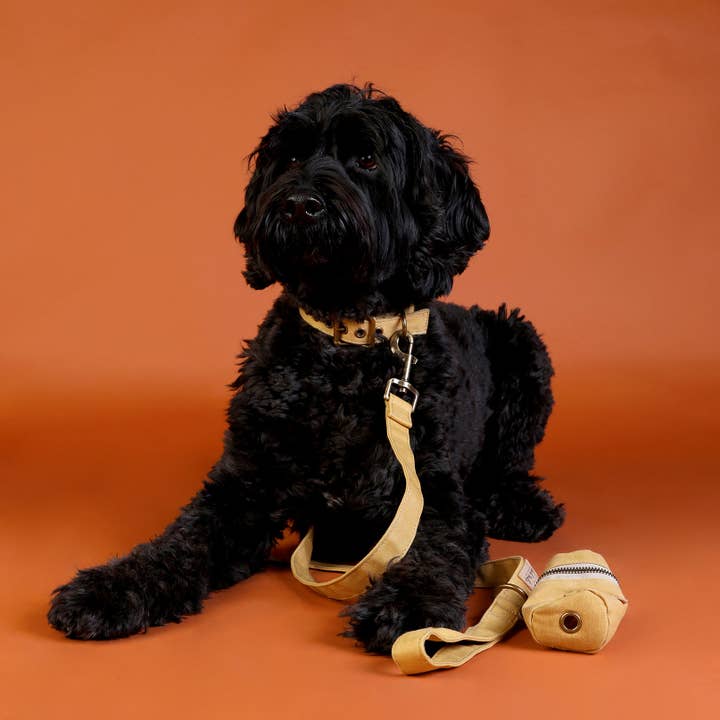 Outback Tails - Wholesale Pet leash – Dog - Waxed Canvas Dog Lead - Yellow1