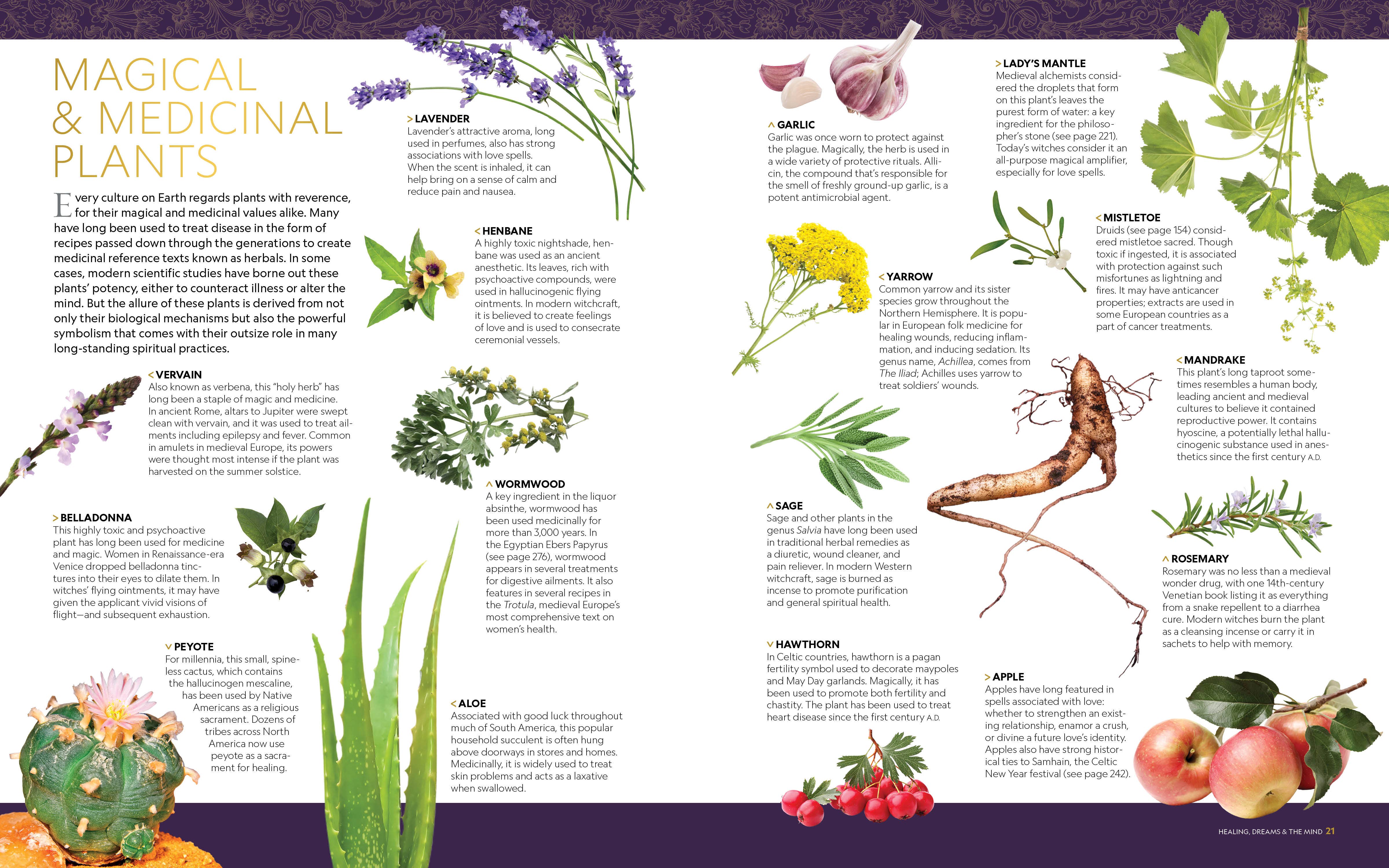 Penguin Random House LLC - Wholesale Body, Mind & Spirit - NG Book of Magic7