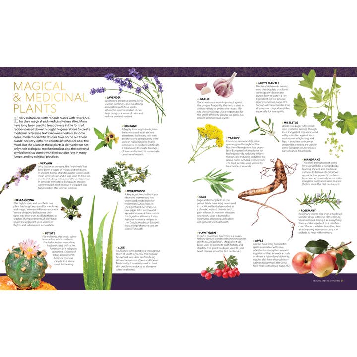 Penguin Random House LLC - Wholesale Body, Mind & Spirit - NG Book of Magic7