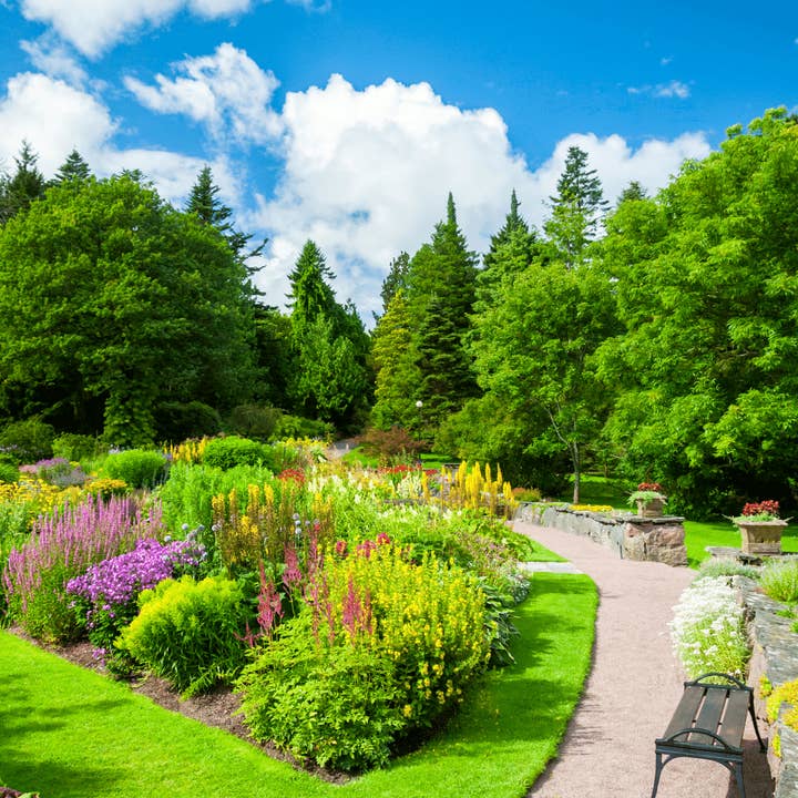 Fervor Candle Company - Wholesale Jar/Filled Candle - Glass Slipper 10oz Soy Wax Book Inspired Candle3