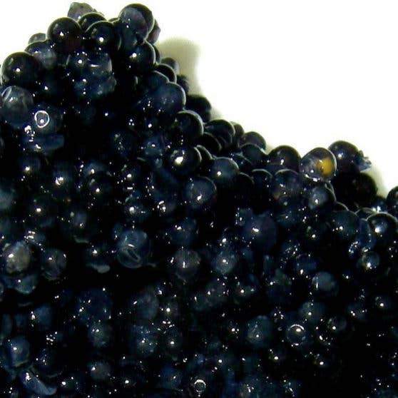 Delicatessen Spanish Food – Peixe/frutos do mar por atacado – Caviar Sturia Oscietra - Lata de 100 g1